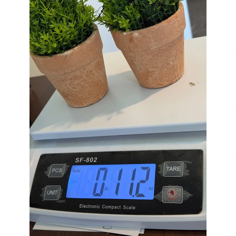 Set of 2 Artificial Boxwood Topiary Plants in Rustic Terracotta Pots 6 Inch